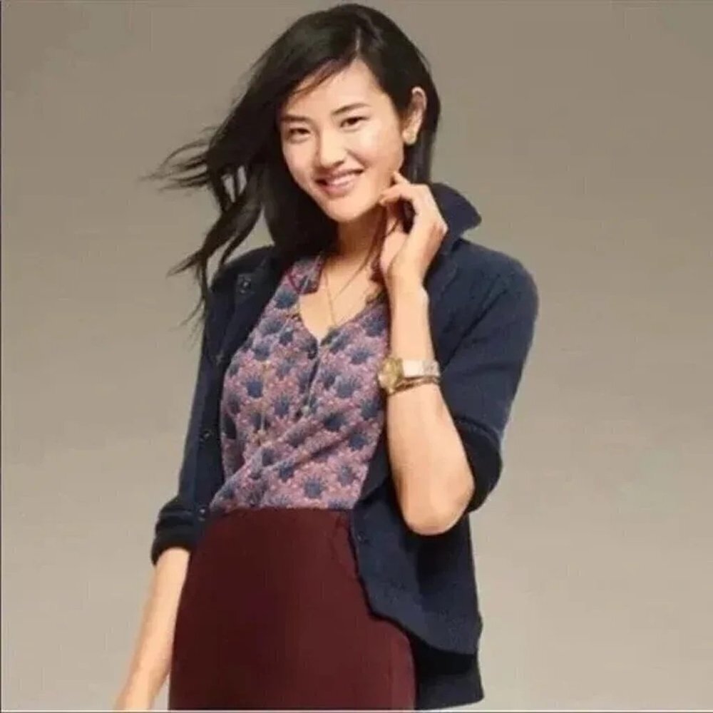 CABI Sheer Fan Blouse Blue Maroon Size M #3620 EUC